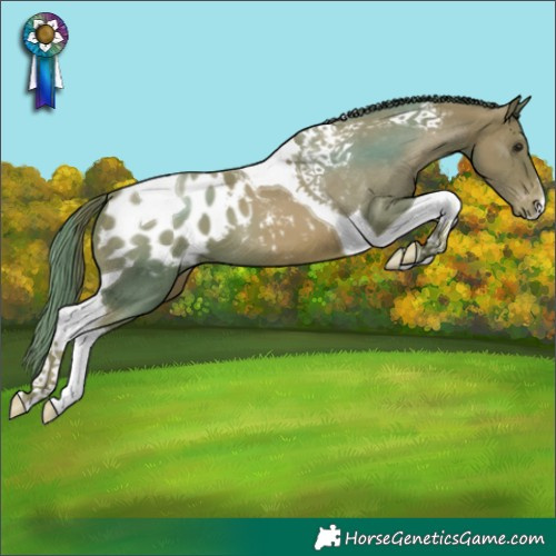 Horse Color:Watercolor Black Pearl Tobiano Appaloosa 