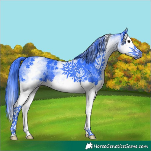 Horse Color:Watercolor White Spotted Brown Splash 