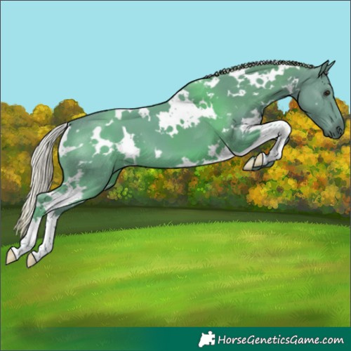 Horse Color:Watercolor White Spotted Silver Black 