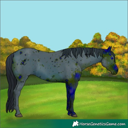 Horse Color:ERROR: UNKNOWN ANOMALY