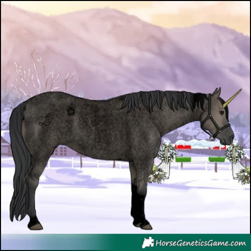 Horse Color:Void Grullo Roan Tobiano 