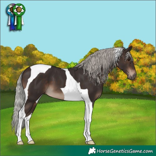 Horse Color:Silver Brown Tobiano
