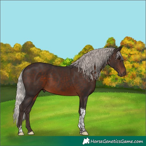 Horse Color:Silver Brown Tobiano 