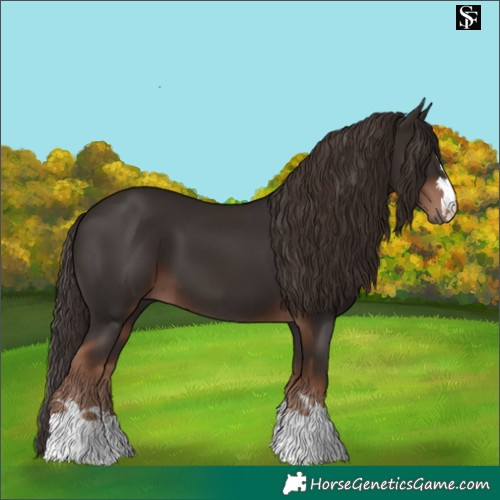 Horse Color:Liver Chestnut  and Liver Chestnut 