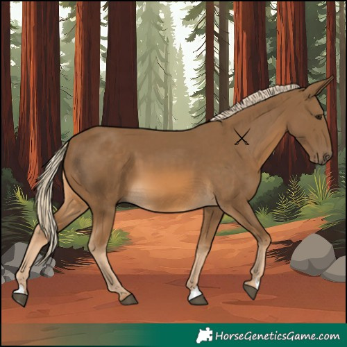 Horse Color:Chocolate Palomino
