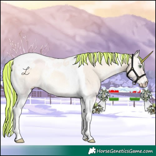 Horse Color:Painted Cremello Onyx Tobiano