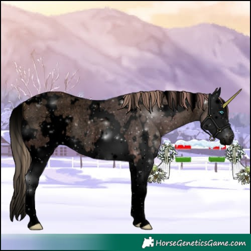Horse Color:Void White Spotted Liver Red Dun Roan Splash