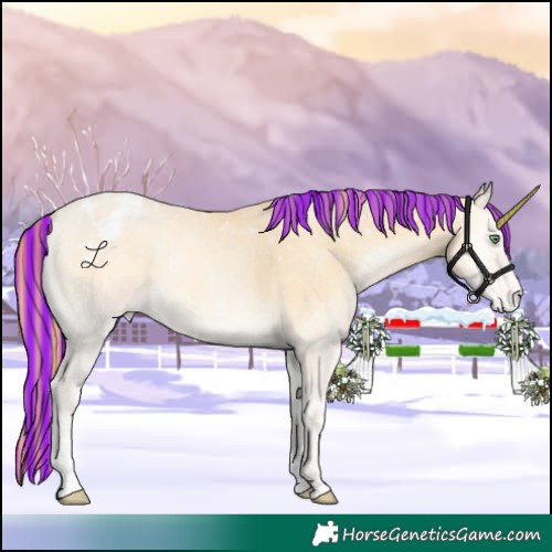 Horse Color:Painted Buckskin Pearl Onyx Appaloosa