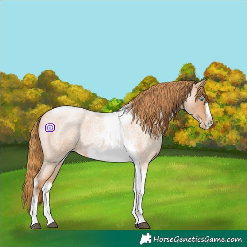 Horse Color:Red Roan Pearl Tobiano Frame 