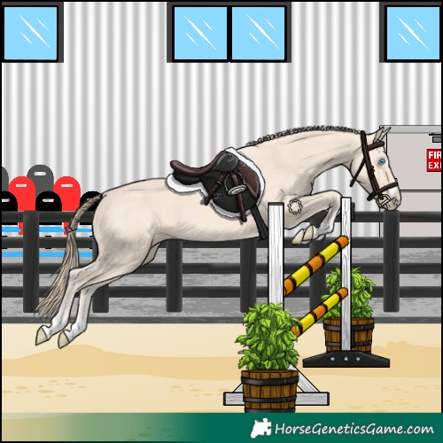Horse Color:Perlino