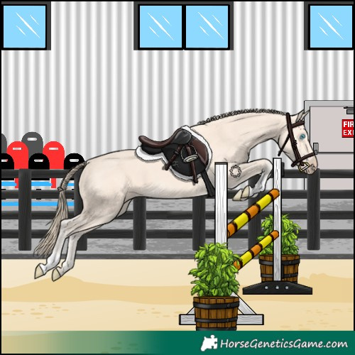 Horse Color:Perlino 