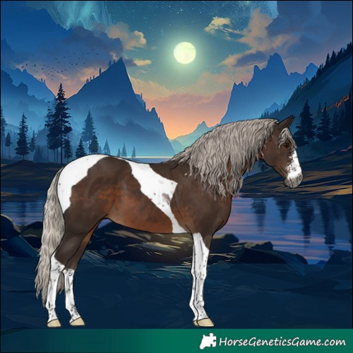 Horse Color:Gray Silver Black Sabino Tobiano 