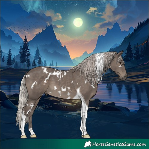 Horse Color:White Spotted Silver Black Tobiano