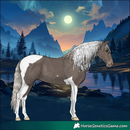 Horse Color:Silver Black Tobiano Varnish
