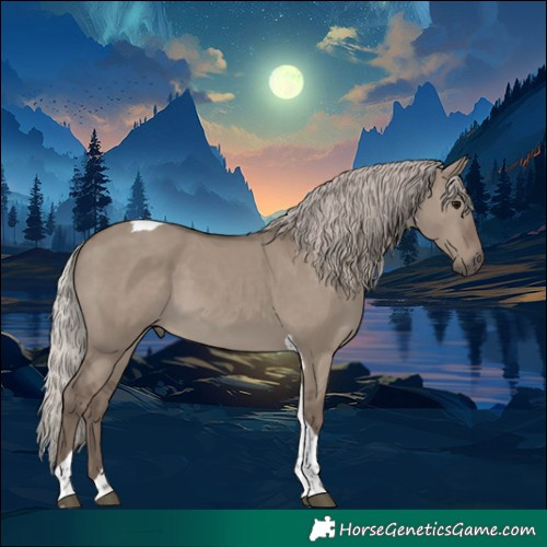 Horse Color:Silver Grullo Tobiano 