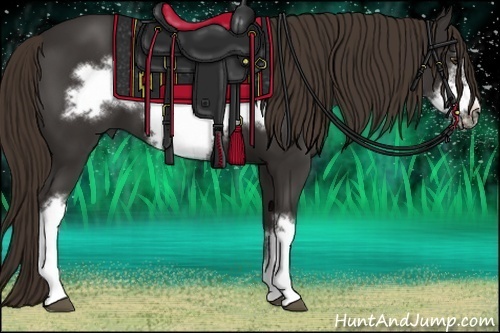 Horse Color:Liver Chestnut Frame 