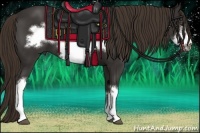 Horse Color:Liver Chestnut Frame 