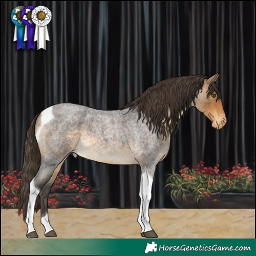 Horse Color:Buckskin Roan Tobiano Varnish