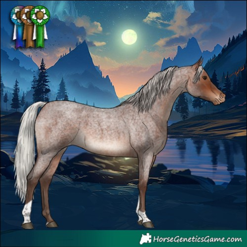 Horse Color:Silver Brown Roan Tobiano Appaloosa 