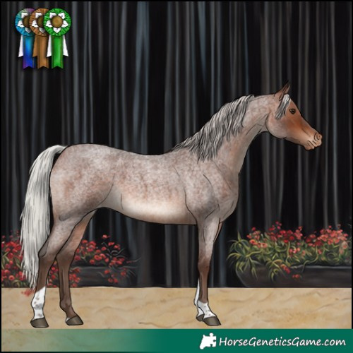 Horse Color:Silver Brown Roan Tobiano Varnish