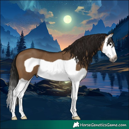 Horse Color:Gray Bay Dun Splash Frame 