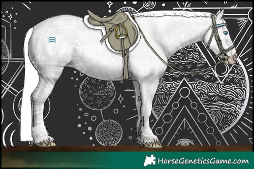 Horse Color:Silver Perlino Dun