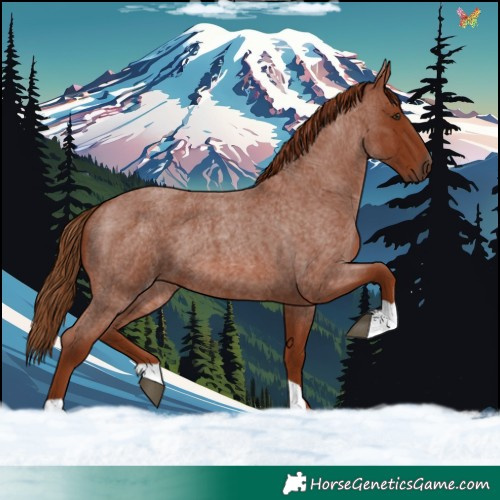 Horse Color:Red Roan