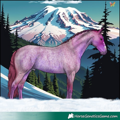 Horse Color:Watercolor Liver Red Roan Frame