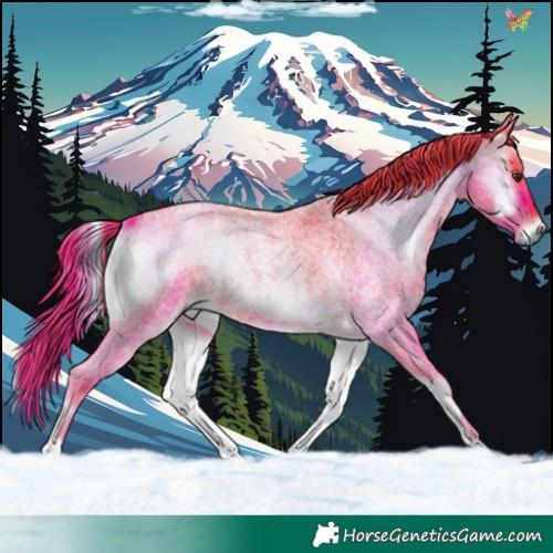 Horse Color:Watercolor Liver Red Onyx Roan