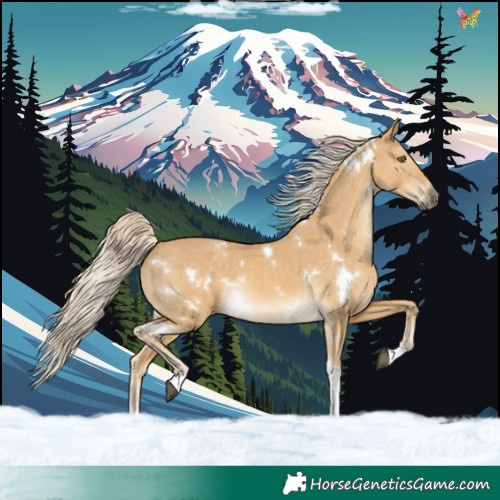 Horse Color:White Spotted Palomino Dun Tobiano Rabicano 
