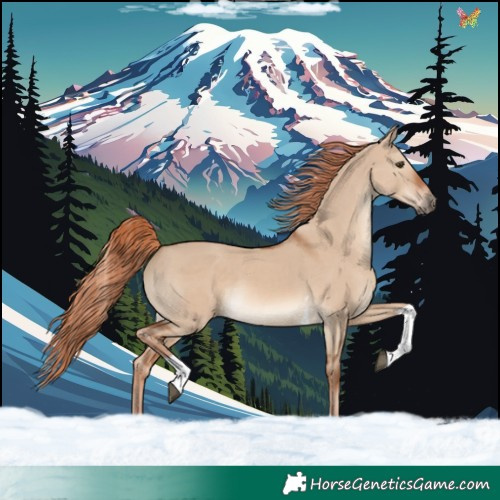 Horse Color:Red Dun Tobiano Rabicano 