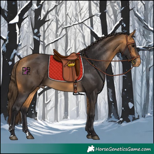 Horse Color:Buckskin Varnish