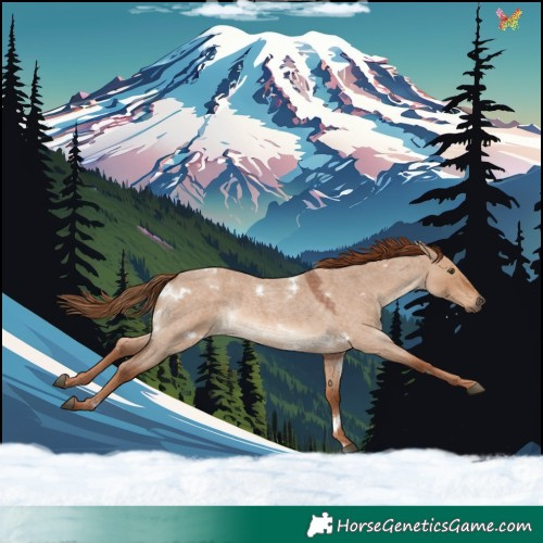 Horse Color:White Spotted Red Dun Roan Rabicano