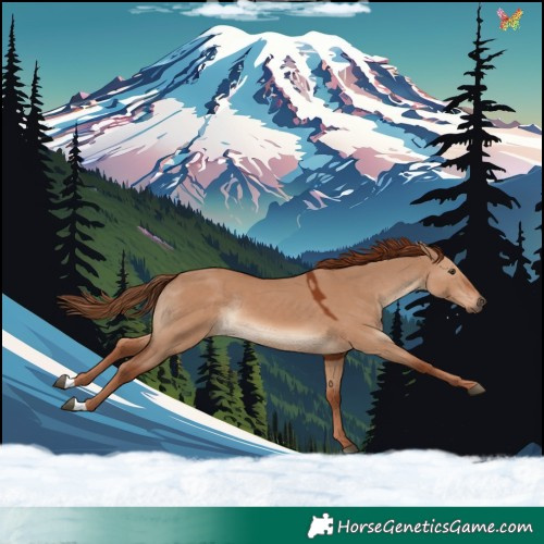 Horse Color:Red Dun Rabicano 