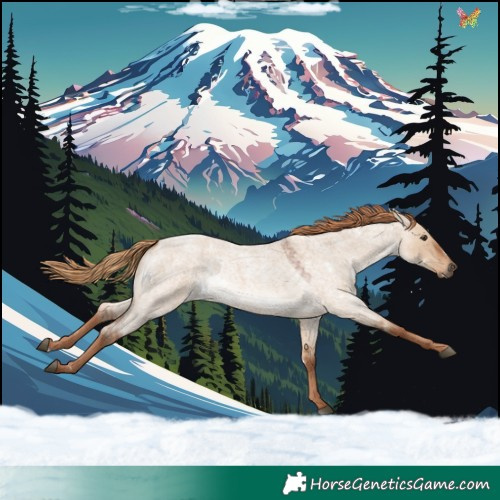 Horse Color:White Spotted Red Dun Roan Rabicano 
