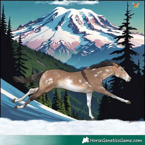Horse Color:White Spotted Bay Dun Splash Rabicano 