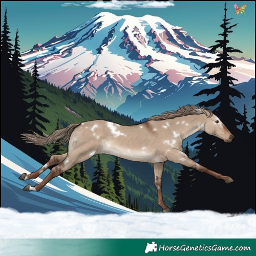 Horse Color:White Spotted Liver Red Dun Rabicano