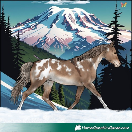 Horse Color:White Spotted Liver Red Dun Tobiano Appaloosa Rabicano 