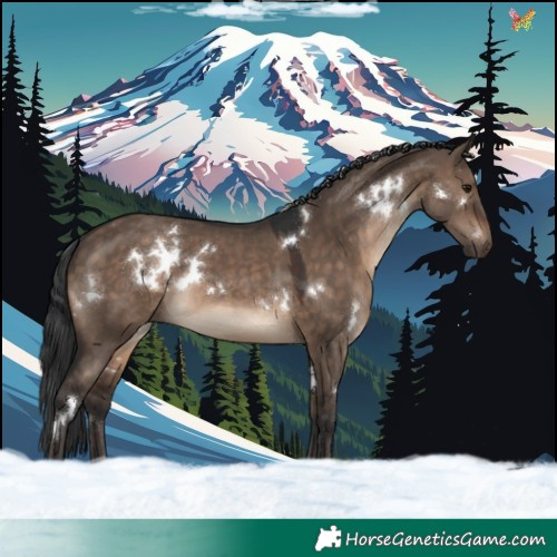 Horse Color:White Spotted Brown Dun Rabicano 