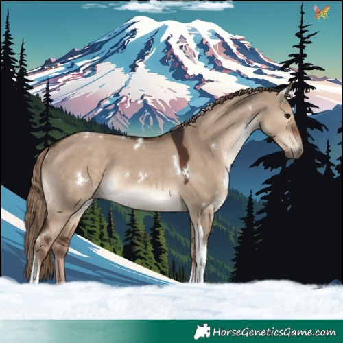 Horse Color:White Spotted Liver Red Dun Tobiano Rabicano
