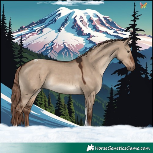 Horse Color:Liver Red Dun Tobiano Rabicano 