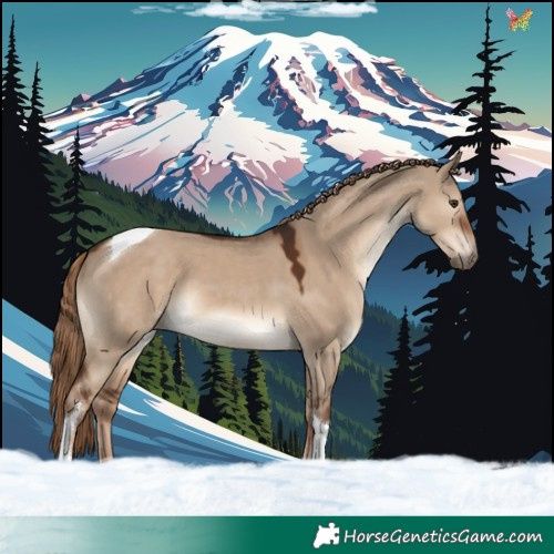 Horse Color:Liver Red Dun Tobiano Rabicano