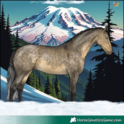 Horse Color:Buckskin Dun