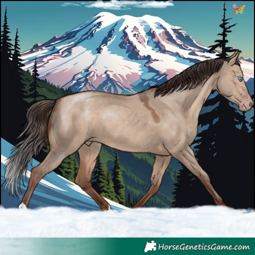 Horse Color:Sable Champagne Dun