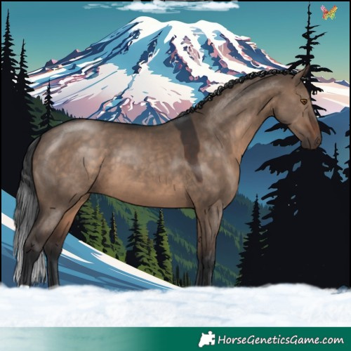 Horse Color:Brown Dun 
