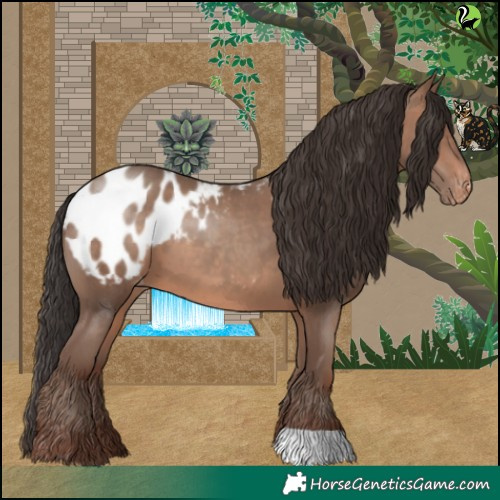 Horse Color:Sable Champagne Appaloosa