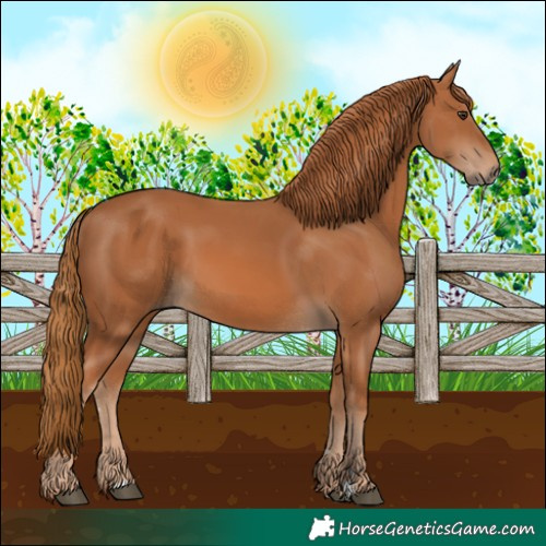 Horse Color:Chestnut 