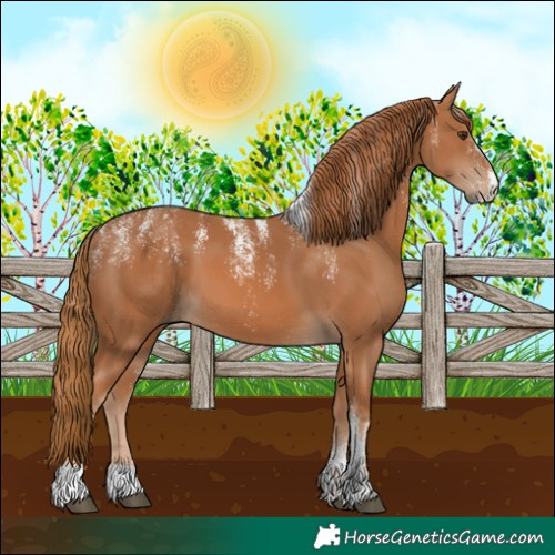 Horse Color:Powder White Chestnut 