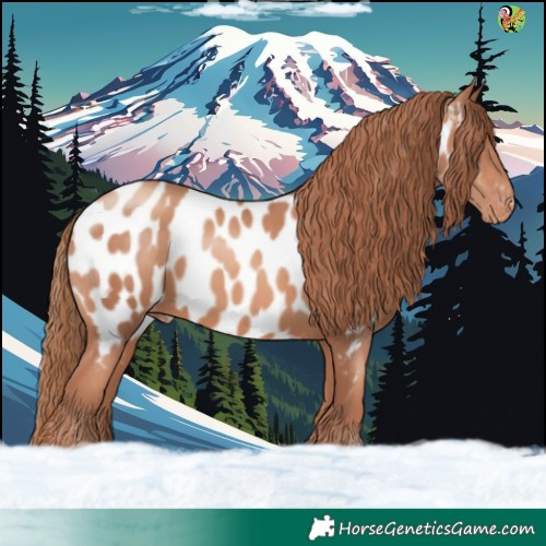 Horse Color:Gold Champagne Appaloosa