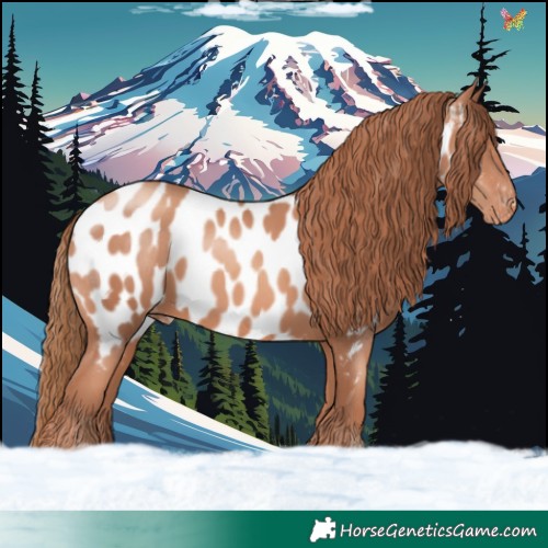 Horse Color:Gold Champagne Near Leopard